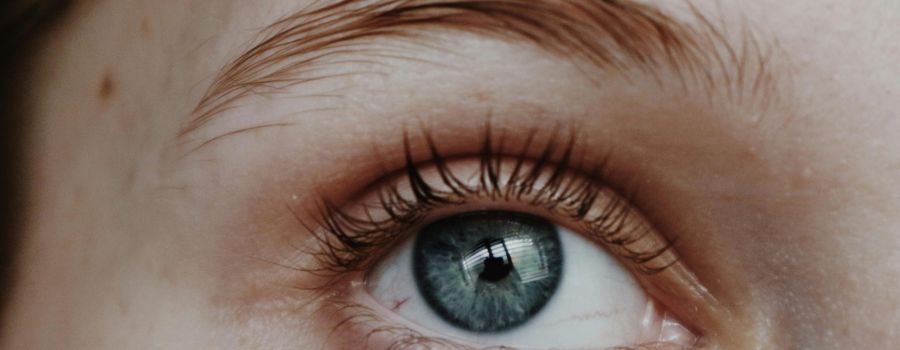 pexels sophie noble 950531 3507181 scaled 98fe5cb7